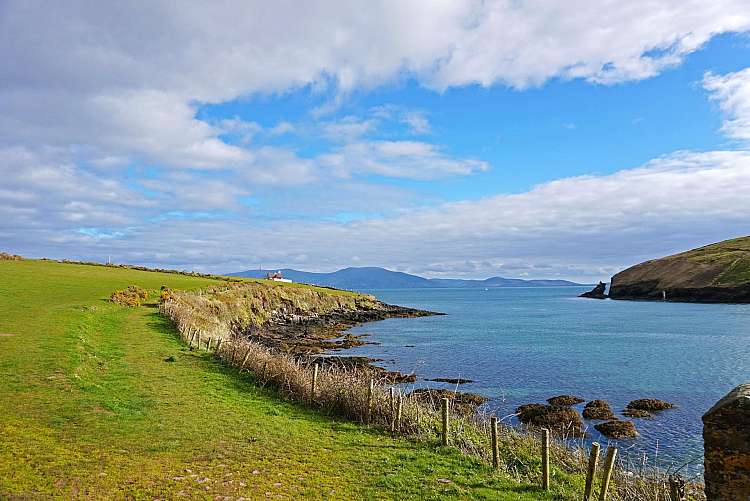 dingle